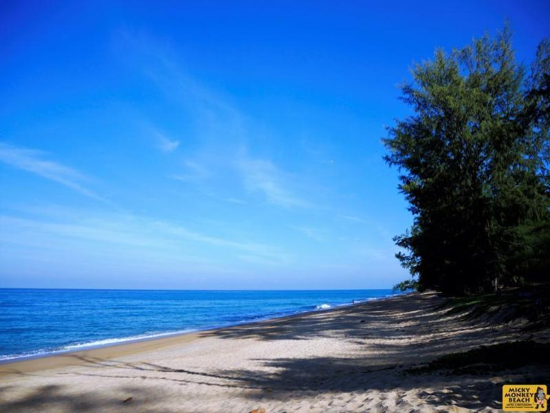 Hôtel Micky Monkey Beach At Maikhao Beach à Mai Khao Extérieur photo